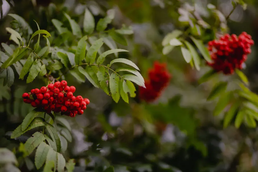 Jarek Olszewski - Fotograf 1
